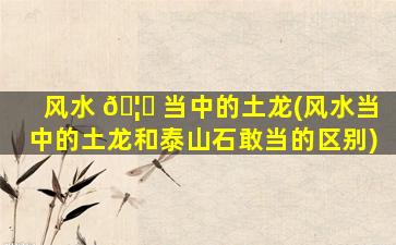 风水 🦅 当中的土龙(风水当中的土龙和泰山石敢当的区别)